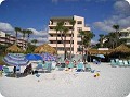 Sea Shell Condominiums in Siesta Key, FL